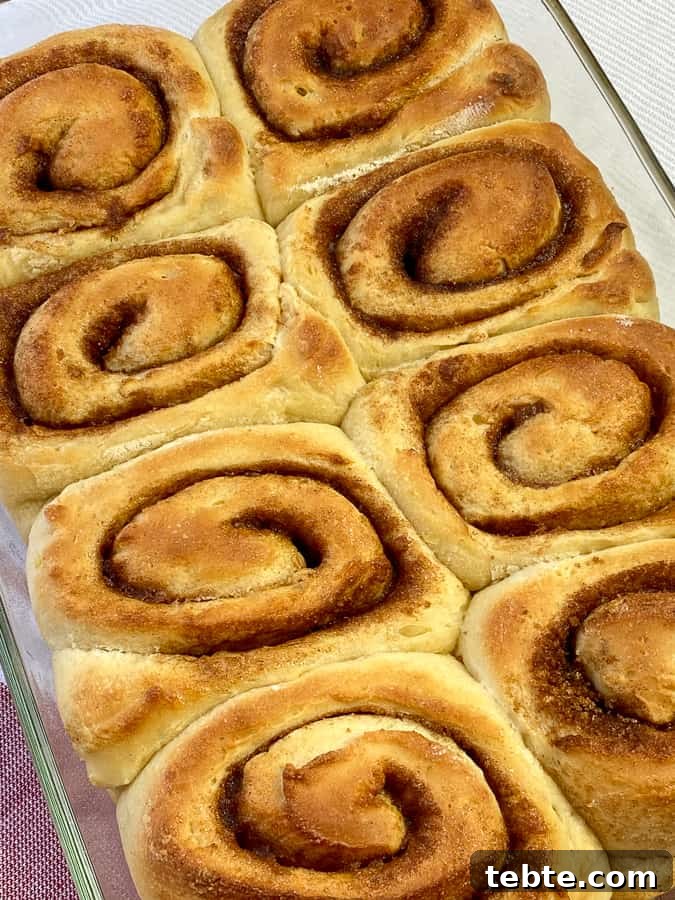 Classic Old-Fashioned Cinnamon Rolls Recipe for Soft, Gooey Buns 6 Eight of the best homemade cinnamon rolls in a 9 x 13 pan