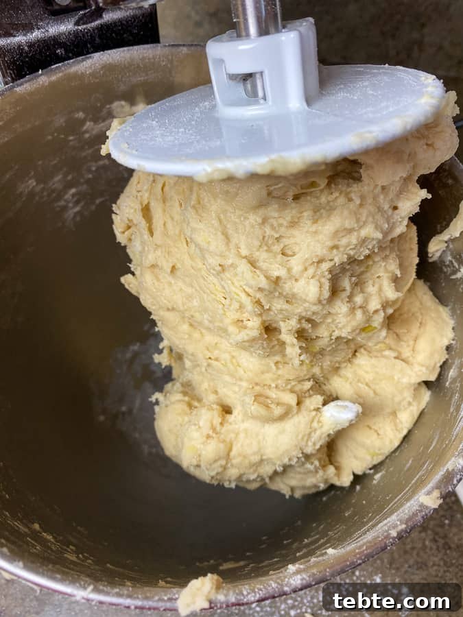Classic Old-Fashioned Cinnamon Rolls Recipe for Soft, Gooey Buns 9 Sticky yeast cinnamon roll dough on hook in mixing bowl