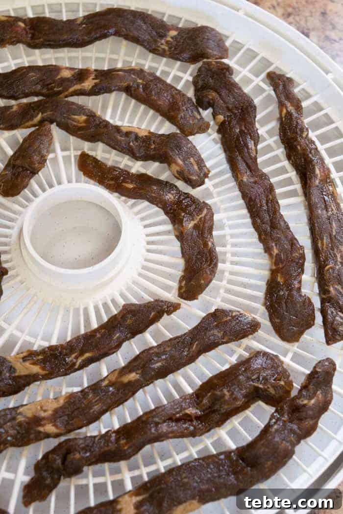 Dale's Steak Marinade Beef Jerky on Dehydrator