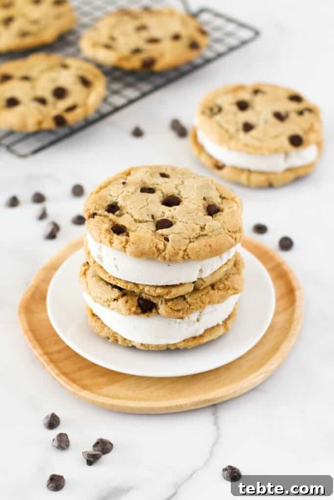Creamy Dairy-Free Chocolate Ice Cream Recipe 10 gluten free vegan chocolate chip cookie ice cream sandwiches