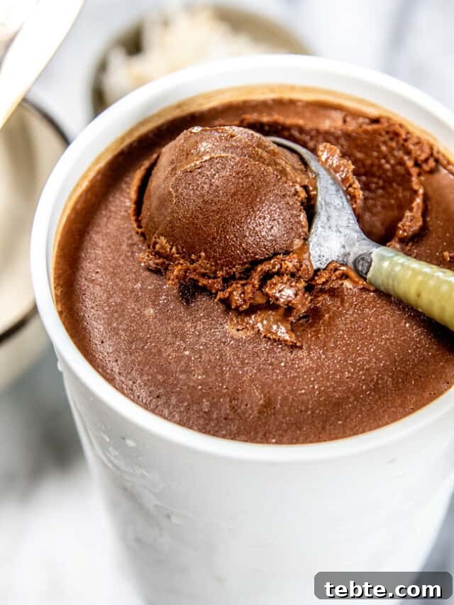 How To Make Rori's Dairy Free Chocolate Ice Cream Homemade
