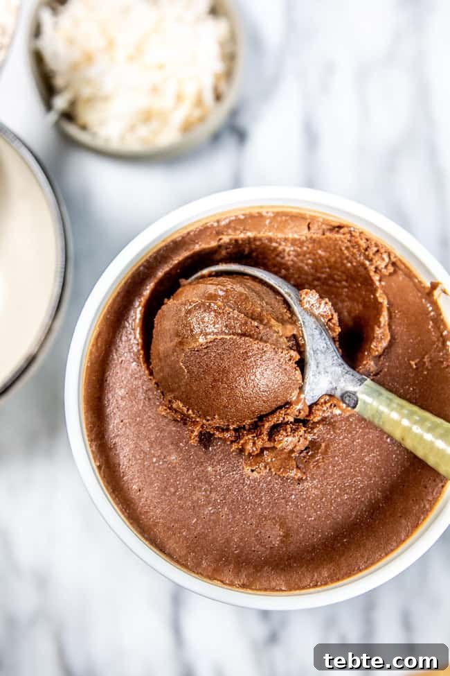Creamy Dairy-Free Chocolate Ice Cream Recipe 4 Chocolate ice cream getting scooped out of an ice cream container