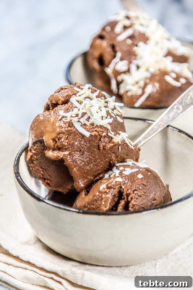 Creamy Dairy-Free Chocolate Ice Cream Recipe 5 A scoop of ice cream in a bowl with a sprinkling of coconut on top