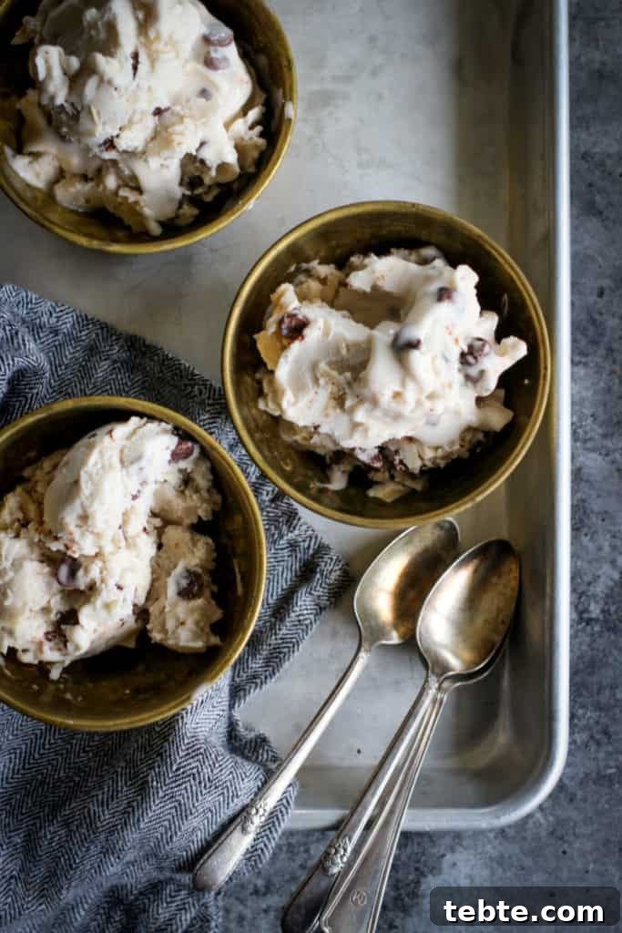 Creamy Dairy-Free Chocolate Ice Cream Recipe 6 img 20863 6