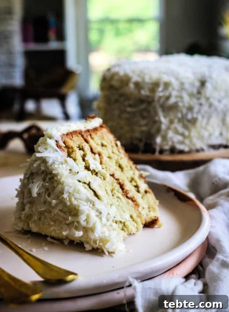 Creamy Dairy-Free Chocolate Ice Cream Recipe 8 gluten free coconut layer cake recipe