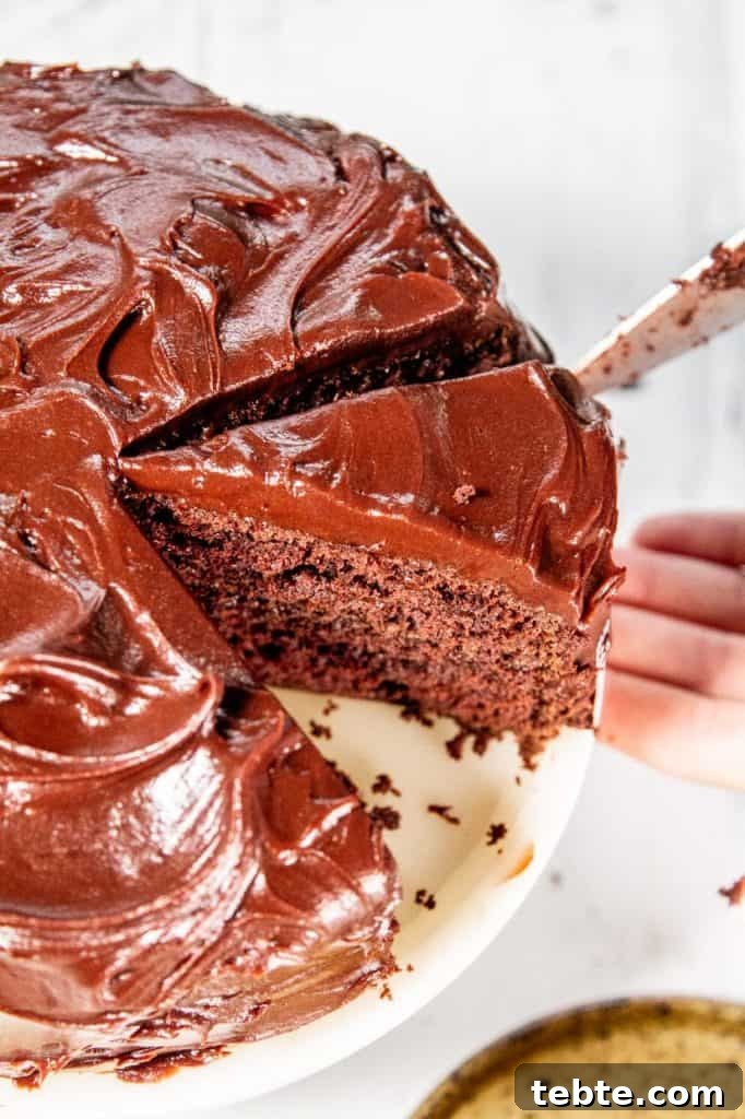 Creamy Dairy-Free Chocolate Ice Cream Recipe 9 Removing a slice of Devil's Food Cake from a whole chocolate cake with chocolate frosting
