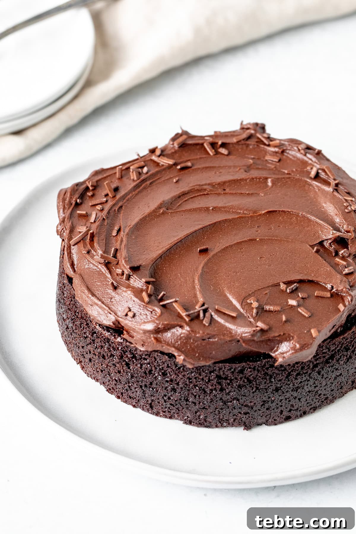 Decadent Mini Chocolate Cake Recipe for Two 2 Mini chocolate cake topped with chocolate frosting and chocolate sprinkles