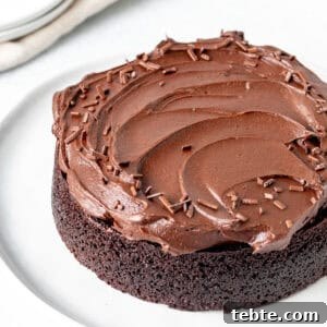 Decadent Mini Chocolate Cake Recipe for Two 8 Mini chocolate cake with fluffy chocolate frosting