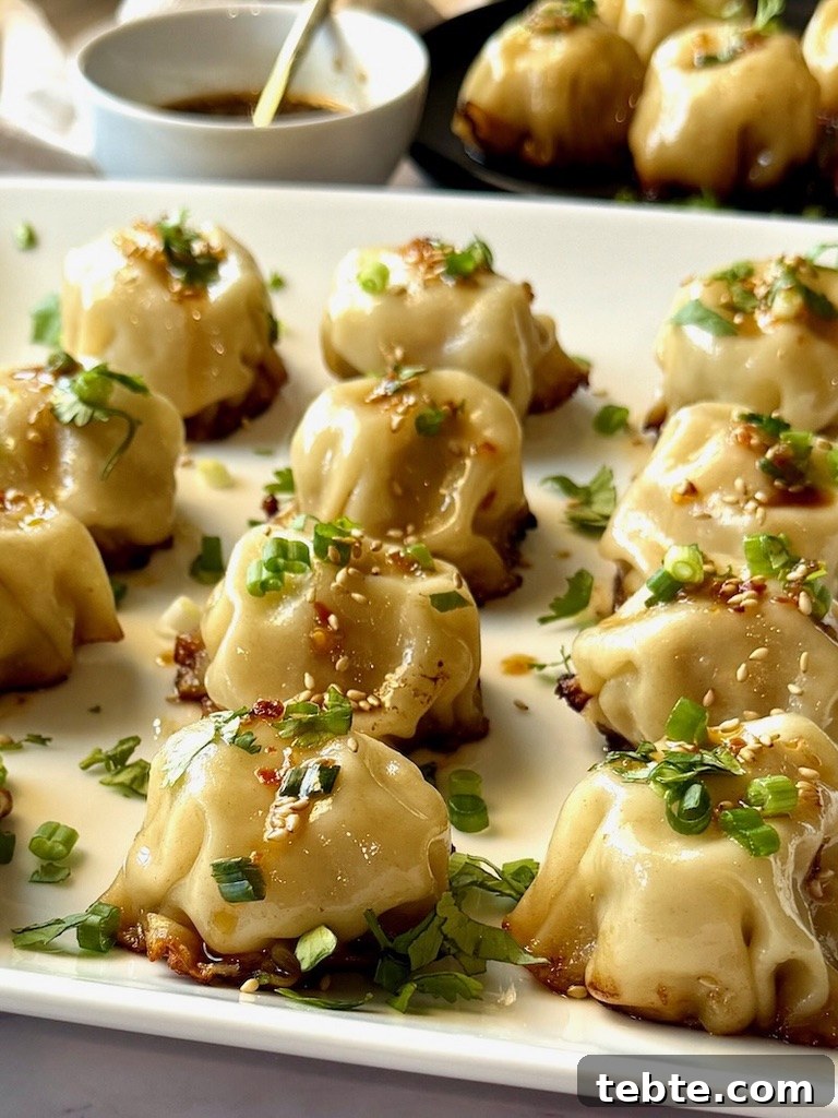 No-Fold Chicken Dumplings Recipe: Quick Homemade Potstickers 2 No fold chicken dumplings on a serving plate with green onions and cilantro.