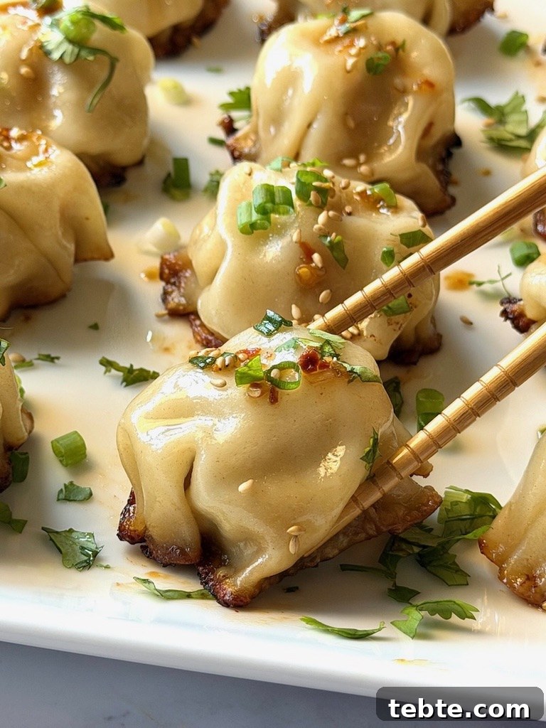 No-Fold Chicken Dumplings Recipe: Quick Homemade Potstickers 11 Chicken dumplings with chopsticks.