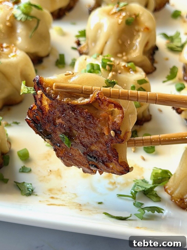 No-Fold Chicken Dumplings Recipe: Quick Homemade Potstickers 13 Chicken dumpling with a chopstick showing the underside where it's crispy.