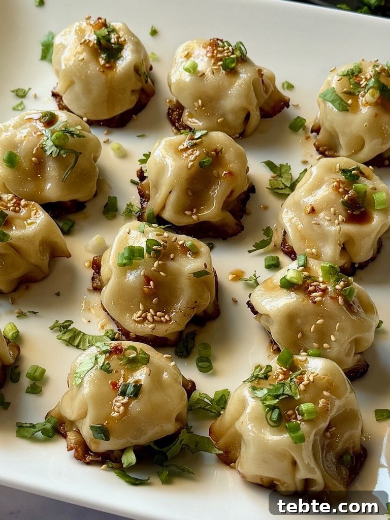 No-Fold Chicken Dumplings Recipe: Quick Homemade Potstickers 15 img 21487 14