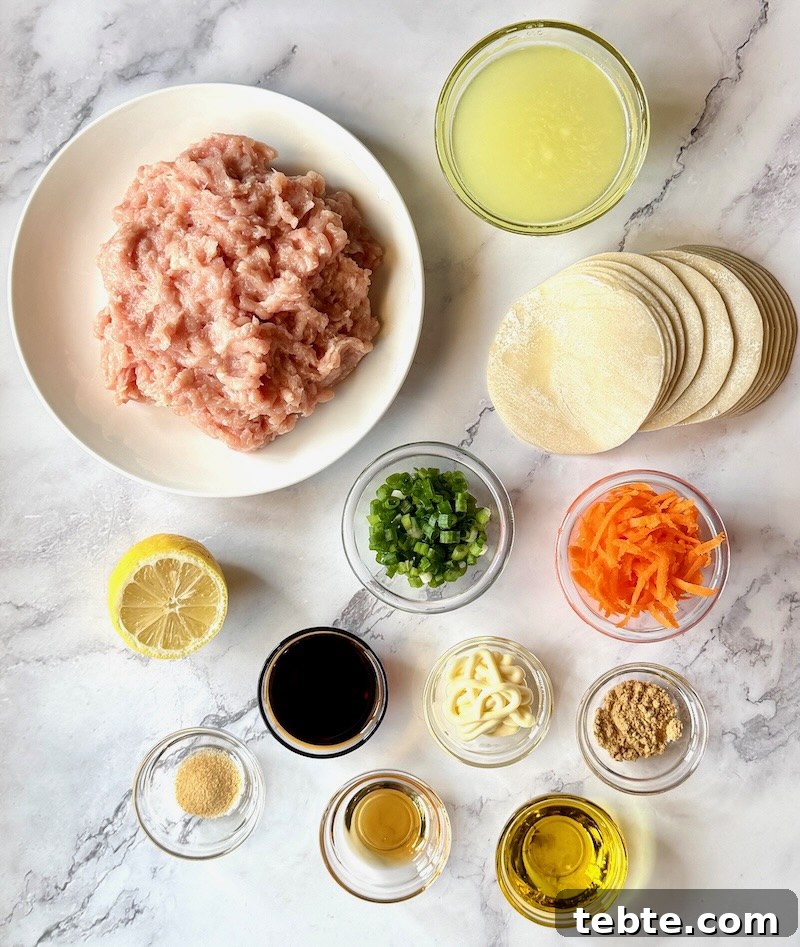 No-Fold Chicken Dumplings Recipe: Quick Homemade Potstickers 3 Ingredients displayed for no fold chicken dumplings.