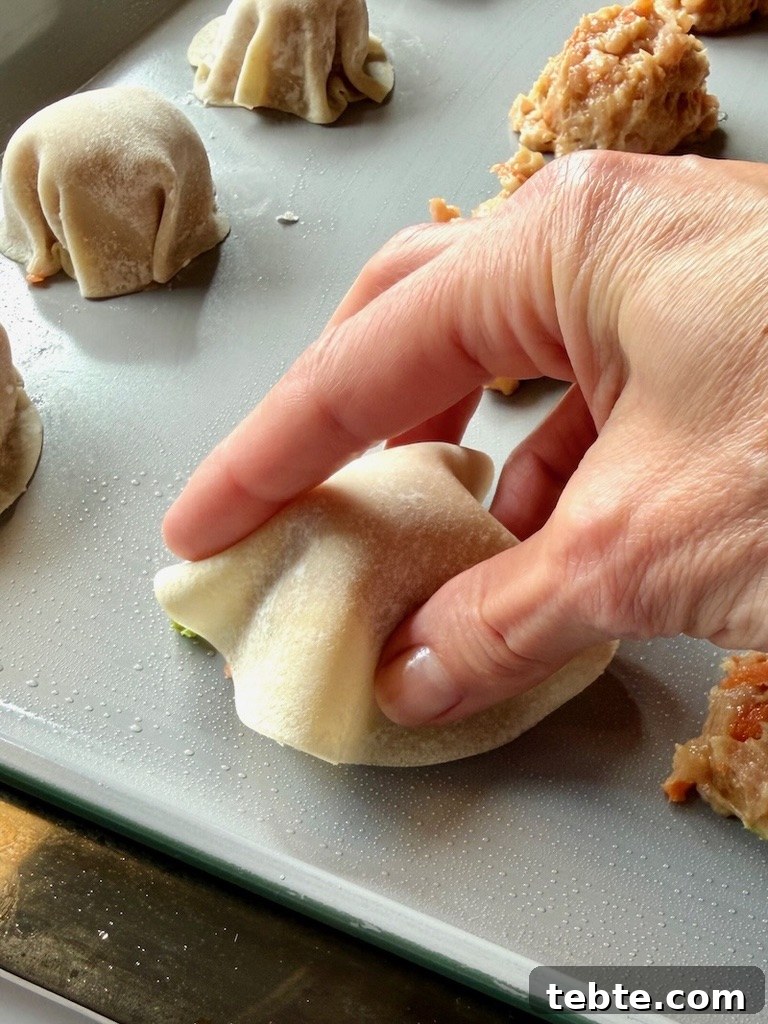 No-Fold Chicken Dumplings Recipe: Quick Homemade Potstickers 7 Round potsticker wrapper set over a meatball.