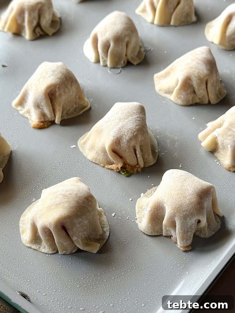 No-Fold Chicken Dumplings Recipe: Quick Homemade Potstickers 8 Sheet pan with assembled dumplings.