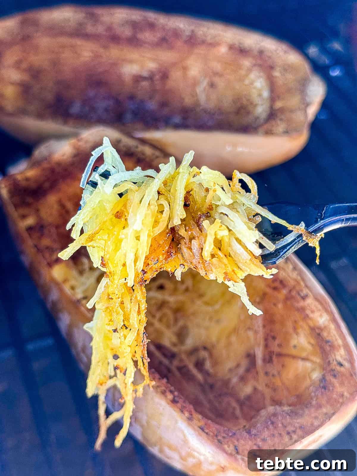 Smoked Spaghetti Squash Recipe for Traeger Grill 7 Traeger Smoked Spaghetti Squash on a fork