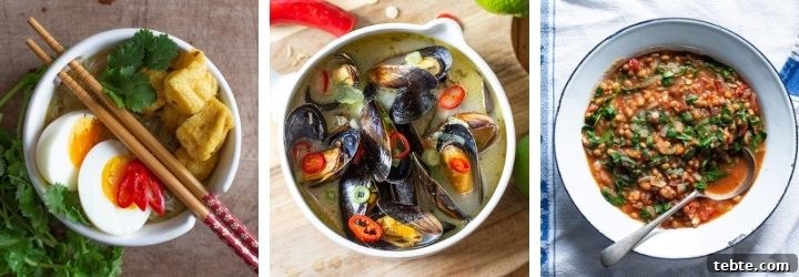 One-Pot Meals Cookbook: 50 Quick, Flavorful Recipes for Busy Weeknights 6 collage of three one-pot bowls