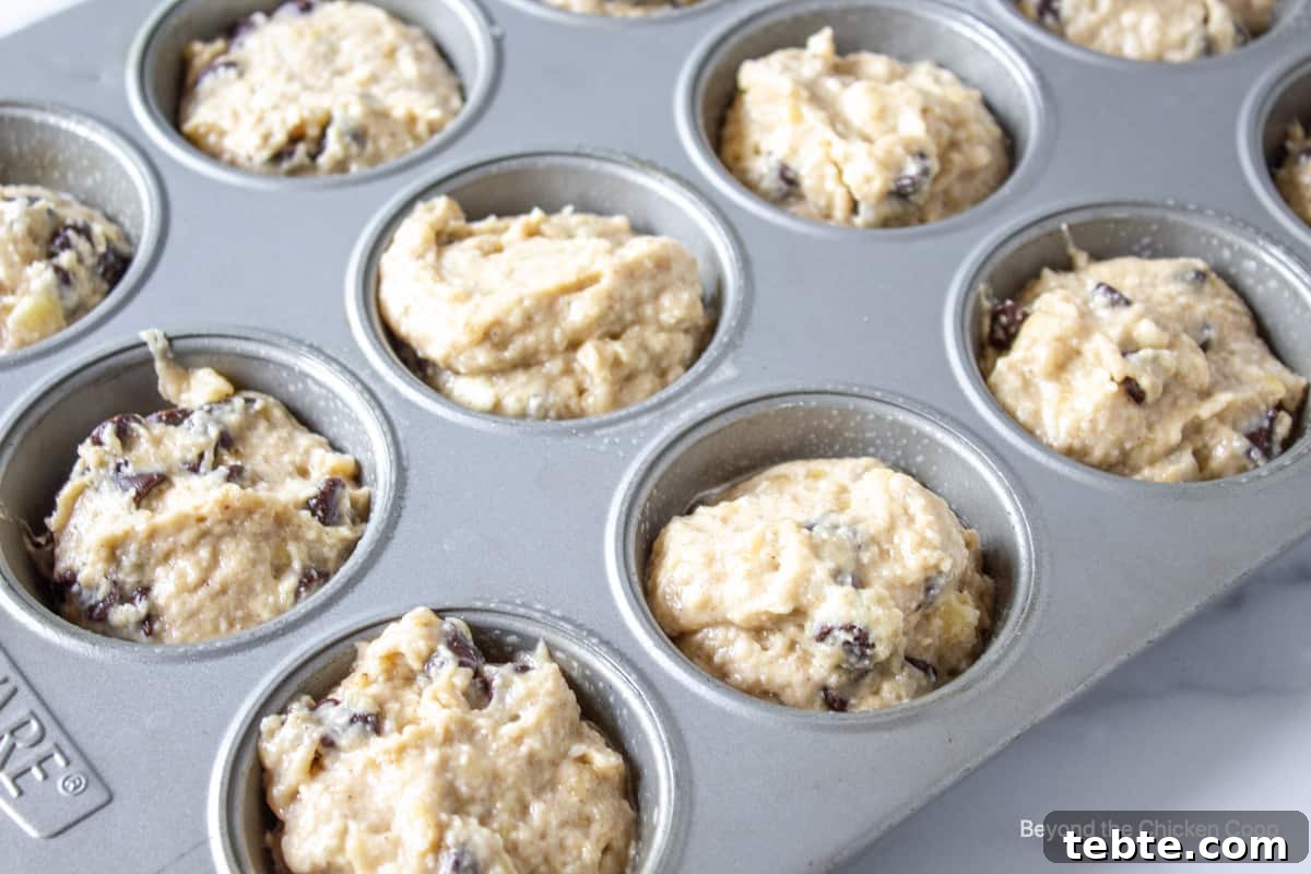 Muffin batter with chocolate chips in muffin tin.