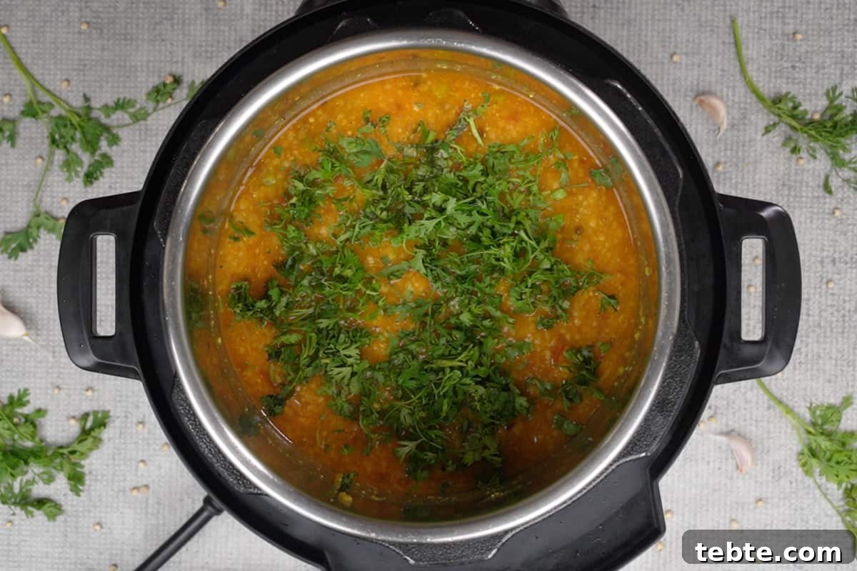 Jowar Khichdi Recipe: Wholesome Millet One-Pot Meal 12 Ready jowar khichdi garnished with chopped cilantro.