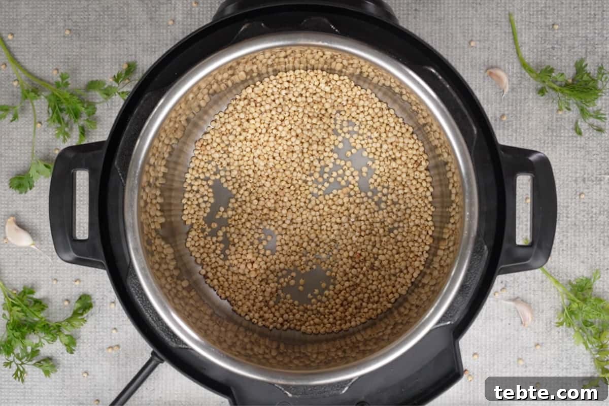 Jowar Khichdi Recipe: Wholesome Millet One-Pot Meal 5 Roasting jowar grains in an instant pot.