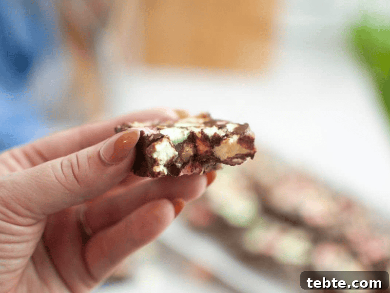 13 Christmas Cookies That Win Every Office Cookie Exchange 14 A hand holding a piece of Church Window Cookies, with more pieces blurred in the background.