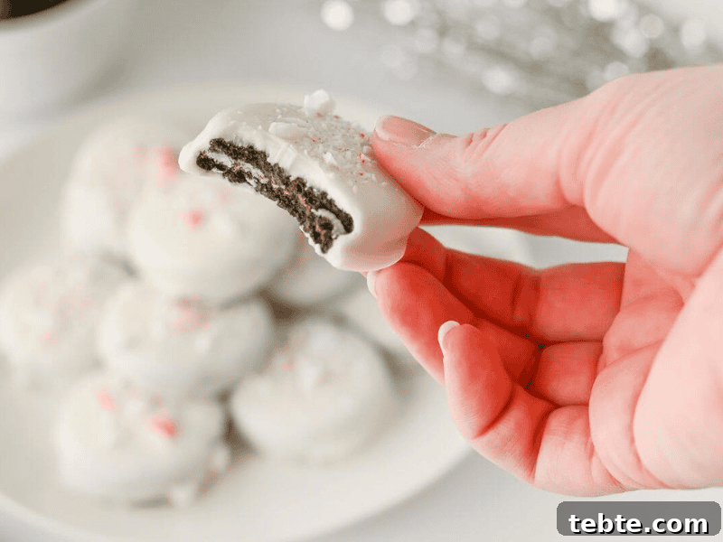 13 Christmas Cookies That Win Every Office Cookie Exchange 15 A hand holds a Peppermint Crunch Oreo with a bite taken out, with more cookies on a plate in the background.