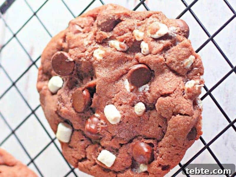 13 Christmas Cookies That Win Every Office Cookie Exchange 6 A close-up of a cocoa chip cookie with white and dark chocolate chunks resting on a black cooling rack.