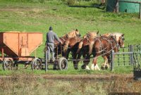 Amish in the News: Are Those Rare Photos Really Authentic?