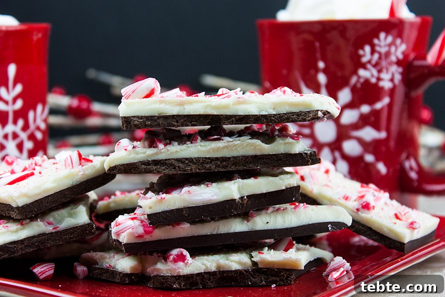 Dark chocolate peppermint bark.