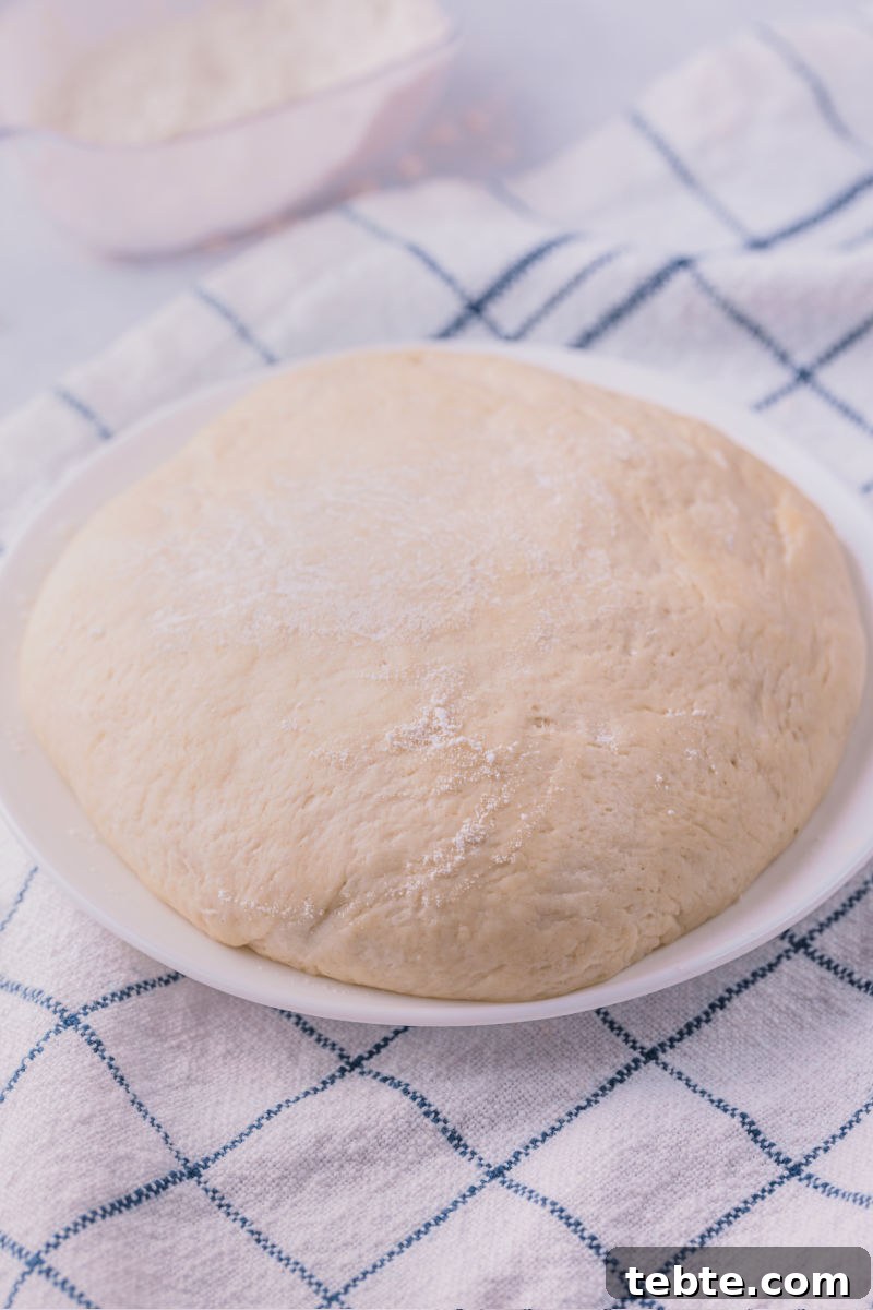pizza dough ball dusted with flour on a plate
