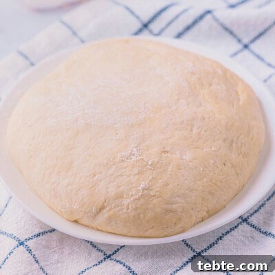 square image of a pizza dough ball dusted with flour on a plate