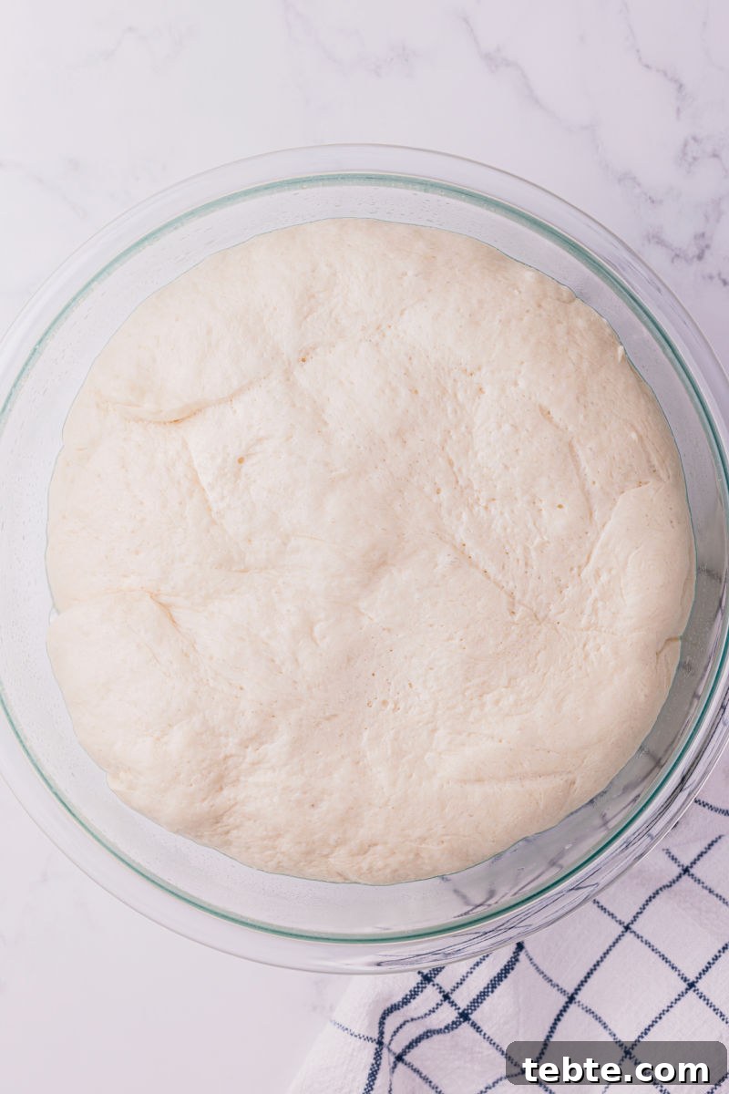 pizza dough in an oiled bowl after proofing for 2 hours