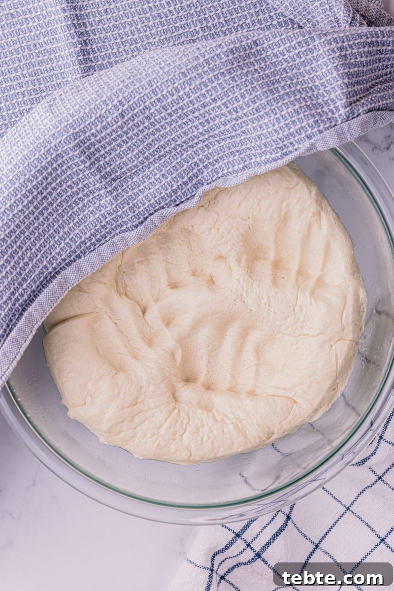 punched down pizza dough in a bowl halfway covered with a kitchen towel