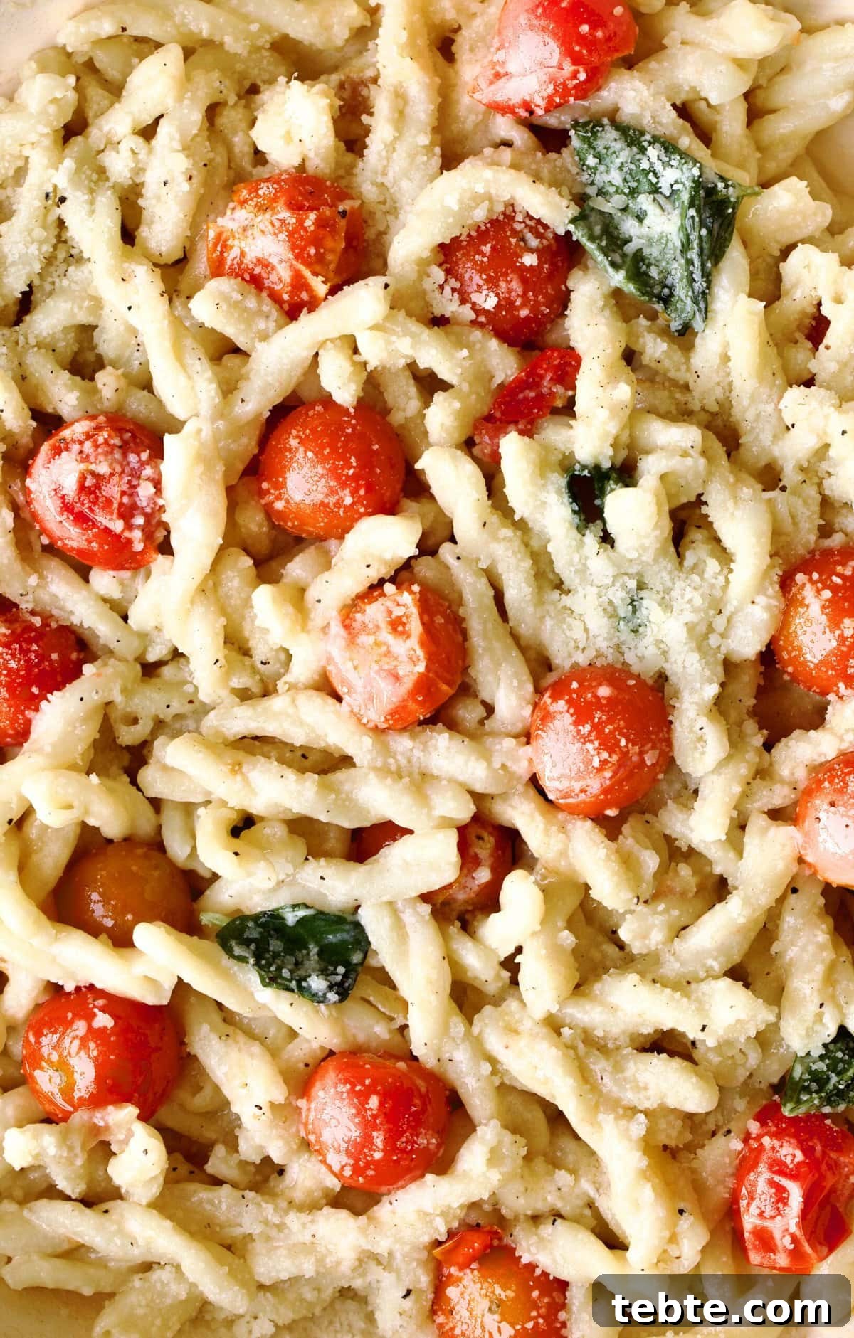 Cheap vs Expensive Pasta: How Quality Changes Flavor and Texture 2 gemelli pasta final dish with extra parmigiano