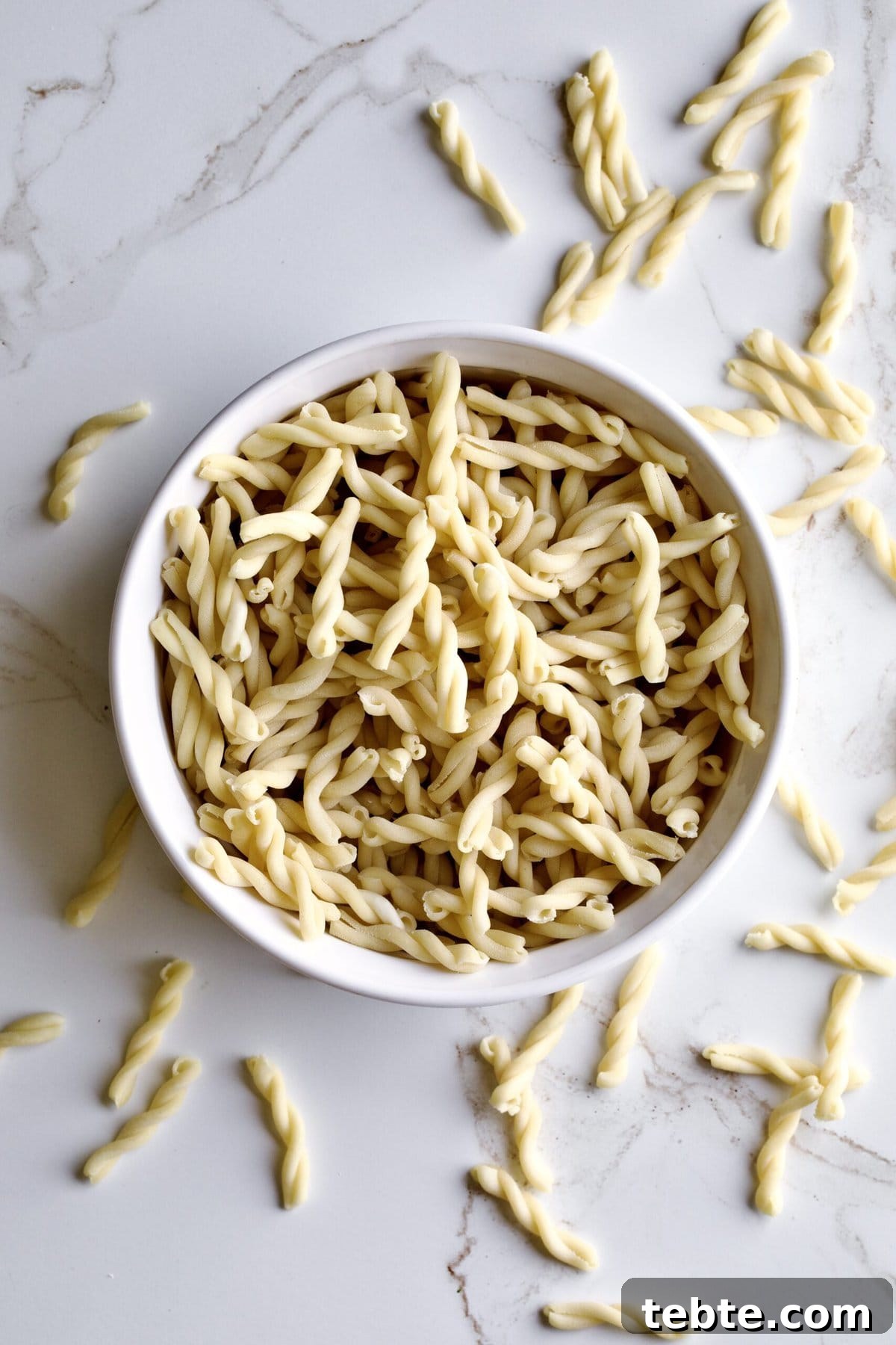 Cheap vs Expensive Pasta: How Quality Changes Flavor and Texture 4 uncooked gemelli pasta shape