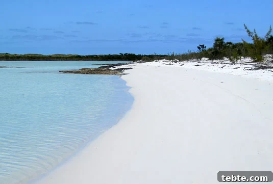 The most beautiful beach in the world at Shroud Cay. The most beautiful beach in the world at Shroud Cay.