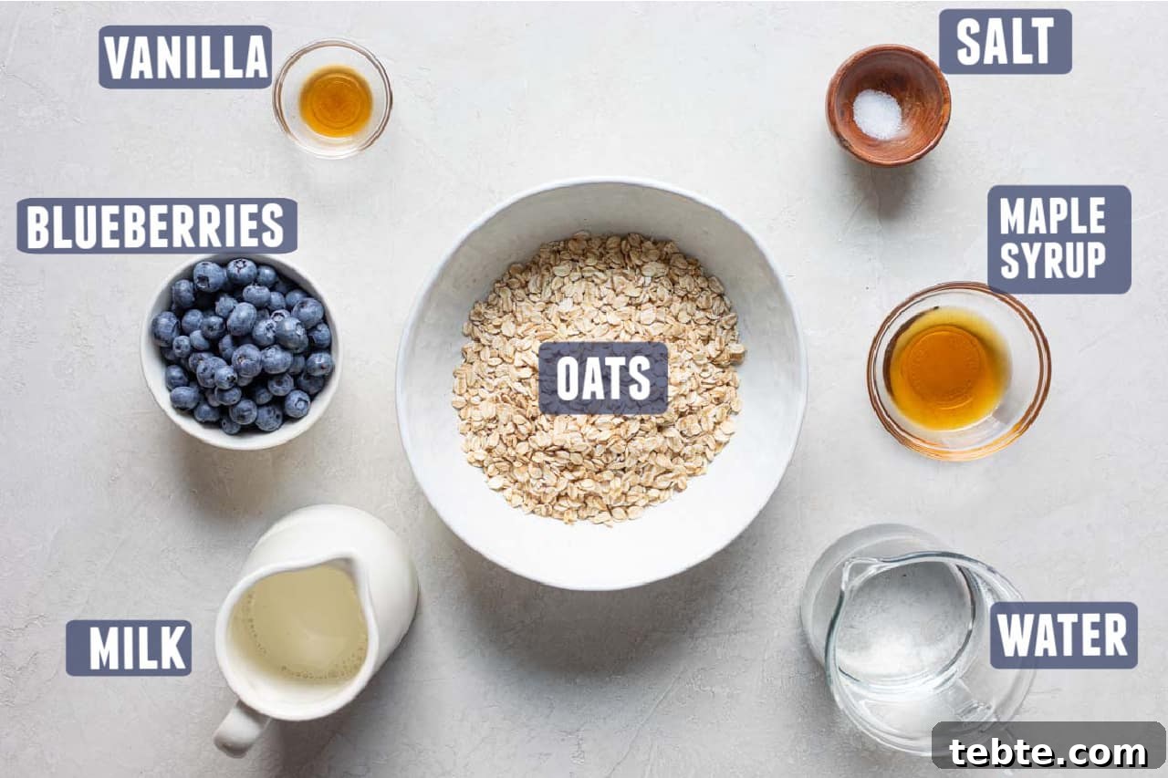 Ingredients needed to make Blueberry Oatmeal laid out on the counter.