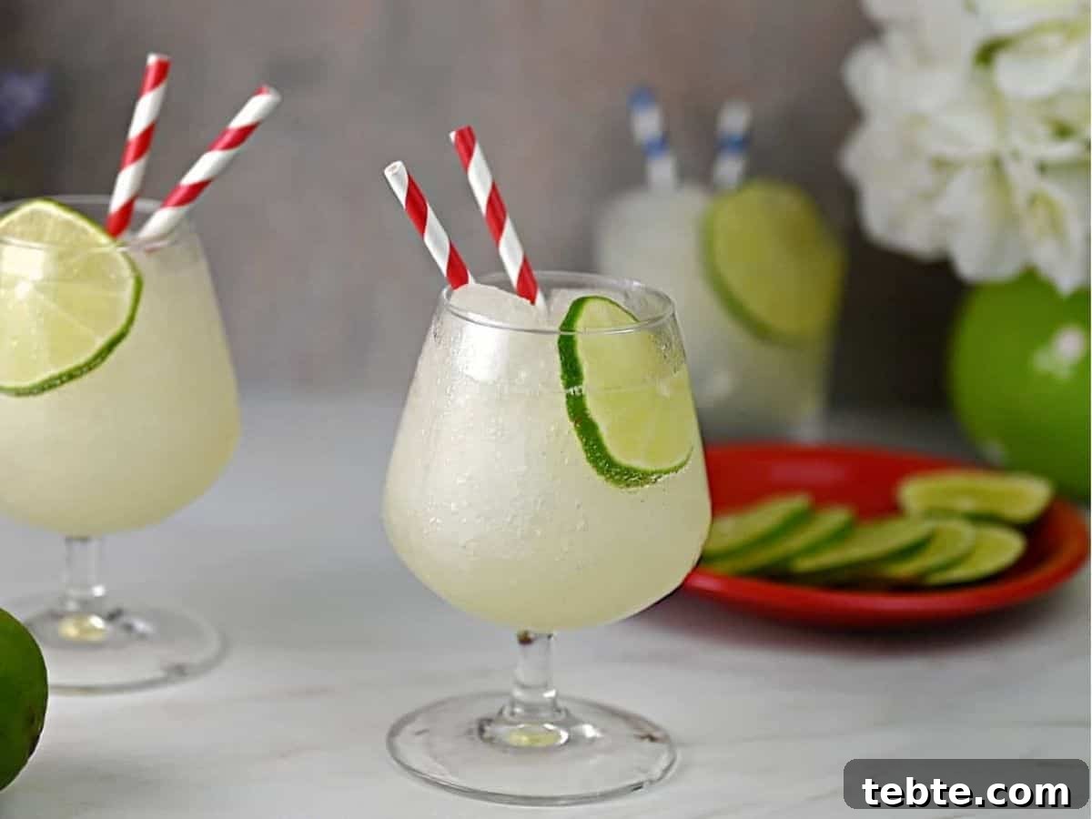 Frozen Boozy Blends: Chilled Cocktails and Slushies to Beat the Heat 3 img 26849 2