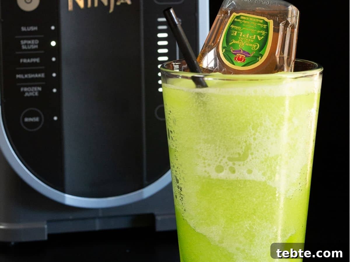 Frozen Boozy Blends: Chilled Cocktails and Slushies to Beat the Heat 9 img 26849 8