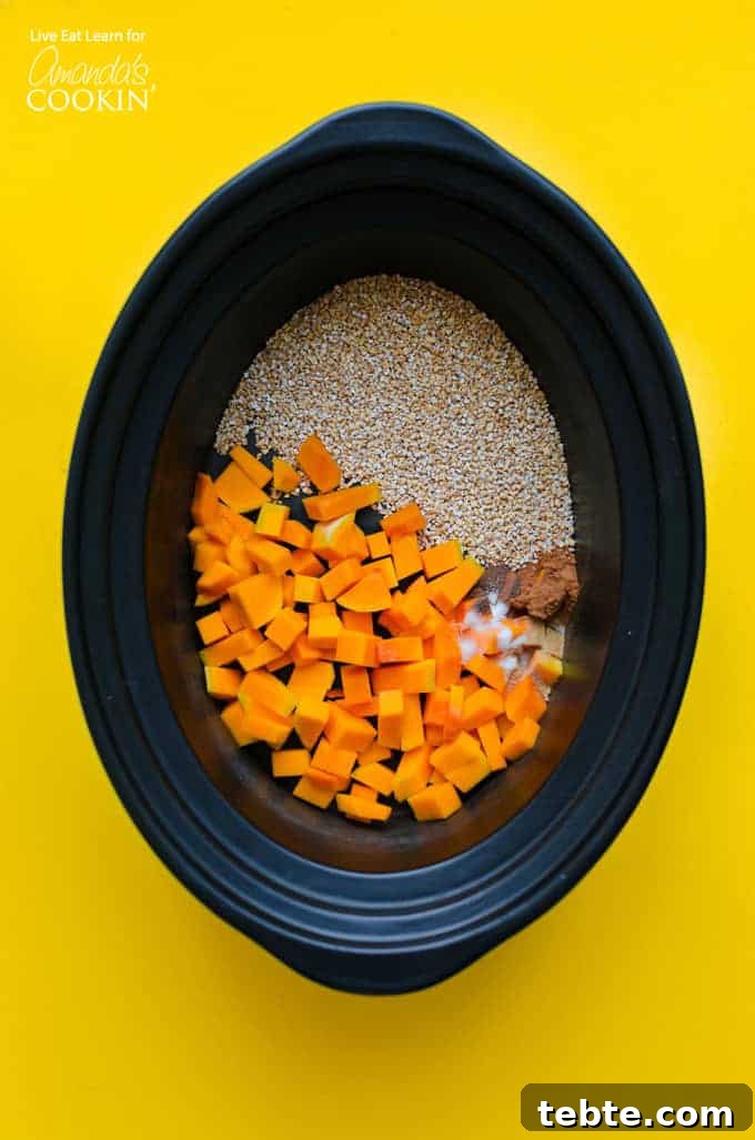 Crockpot Butternut Squash Oatmeal ingredients in crockpot