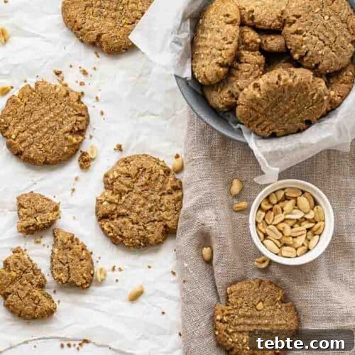 Low-Carb Sugar-Free Peanut Butter Cookie Recipe 5 Sugar Free Peanut Butter Cookie Recipe