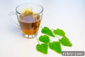 Tulsi Tea