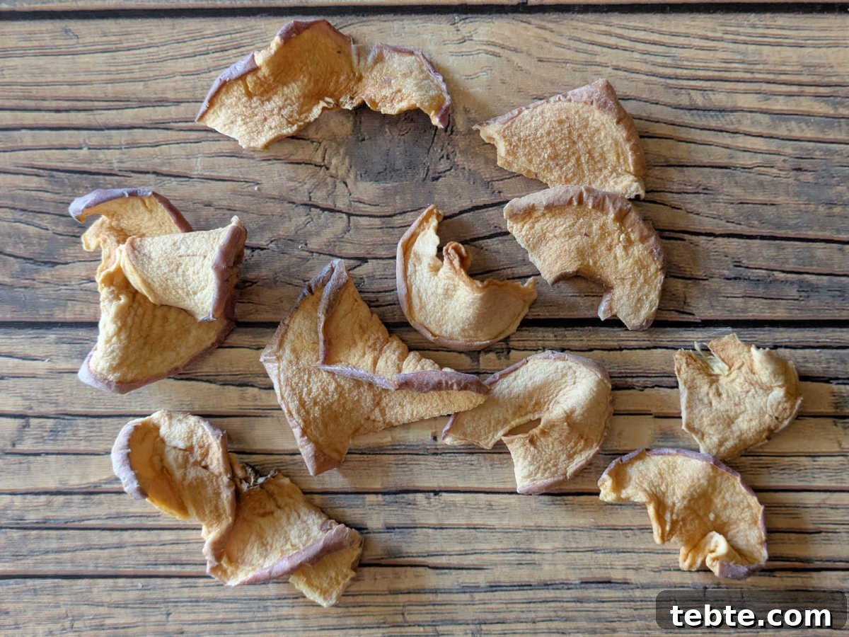 Crunchy Oven-Baked Fruit Snacks for Quick On-the-Go Snacking 6 baked apple chips