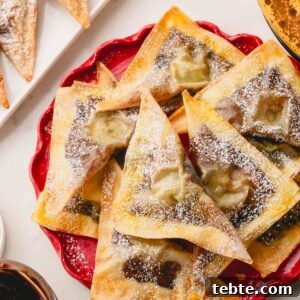 Crispy Banana and Nutella Wontons Recipe for Dessert Delight 11 A plate of banana Nutella wontons dusted with powdered sugar.