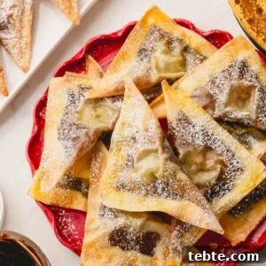 Crispy Banana and Nutella Wontons Recipe for Dessert Delight 12 A plate of banana Nutella wontons dusted with powdered sugar.