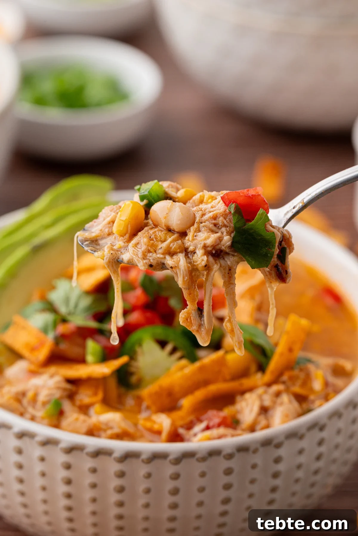 Slow-Cooker White Chicken Chili Recipe (Low-Calorie Crock-Pot) 9 img 3324 8