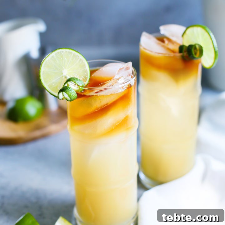 photo of 2 glasses of a mai tai garnished with limes