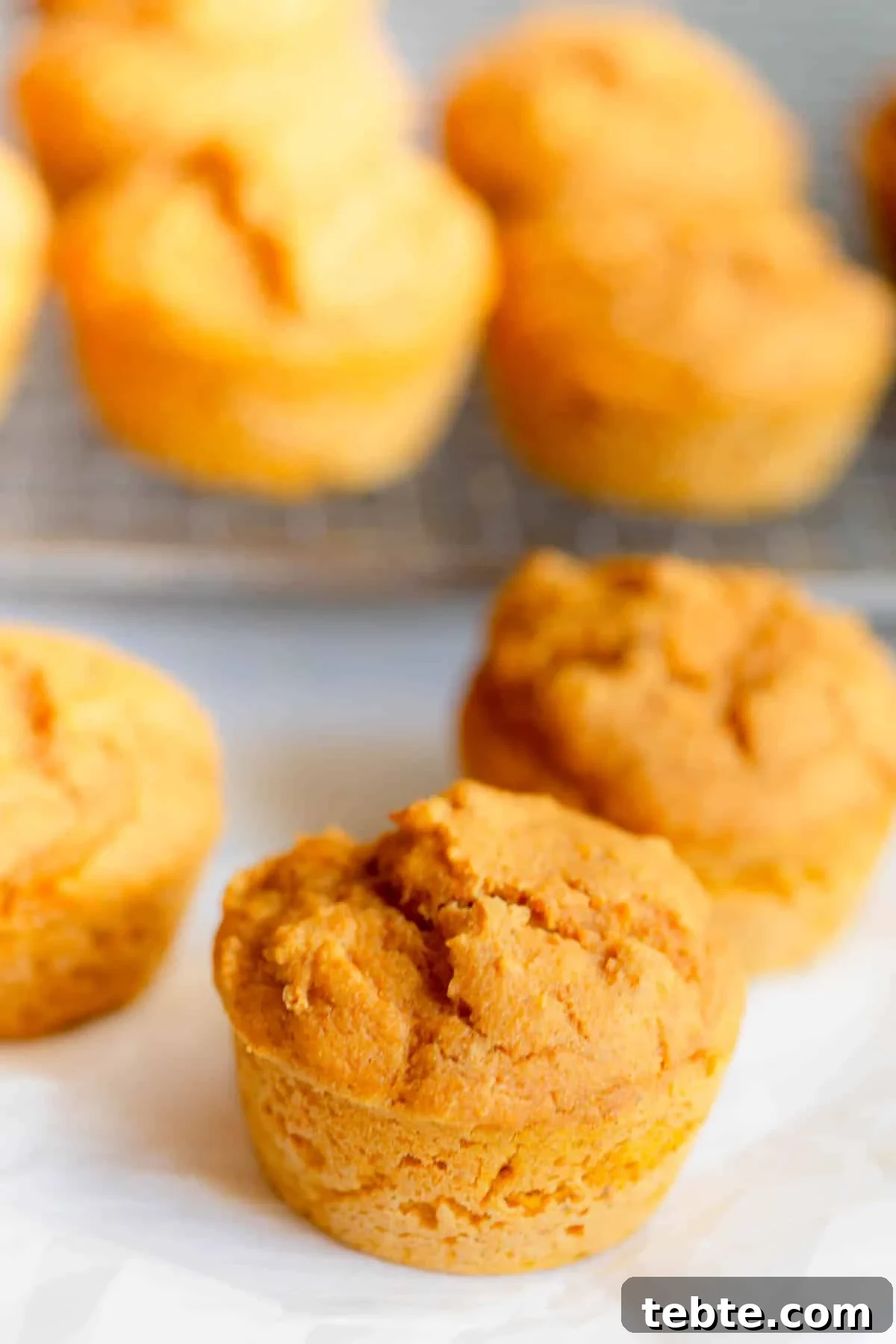High-Protein Pumpkin Muffins for Muscle Fuel and Fall Baking 2 Protein Pumpkin Muffins on a piece of parchment paper.