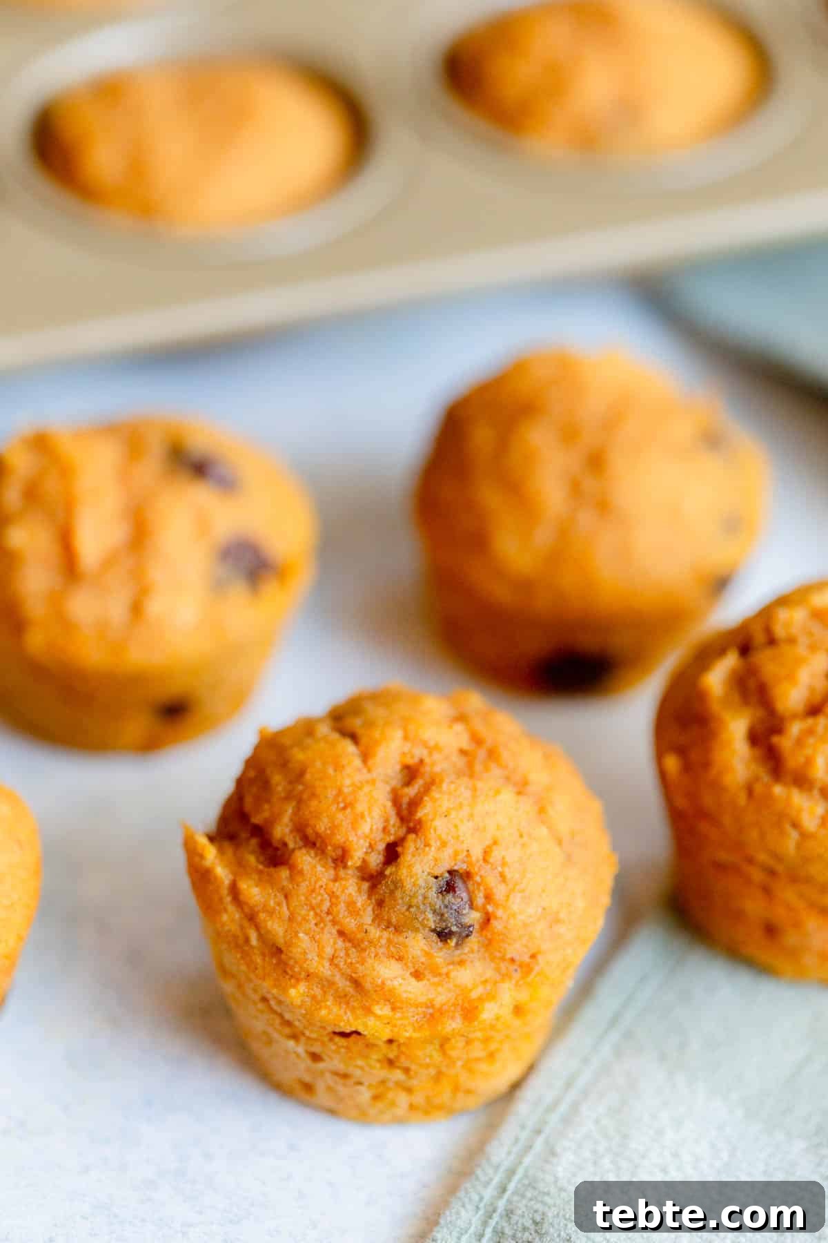 High-Protein Pumpkin Muffins for Muscle Fuel and Fall Baking 5 Protein Pumpkin Muffins on parchment paper with a muffin pan n the background.