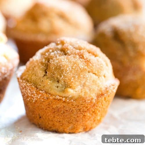 Maple Donut Muffins